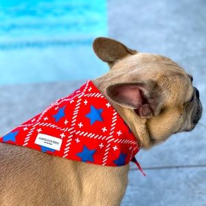 4th of July Dog Bandana Reversible Pet Scarf for Medium and Large Dogs